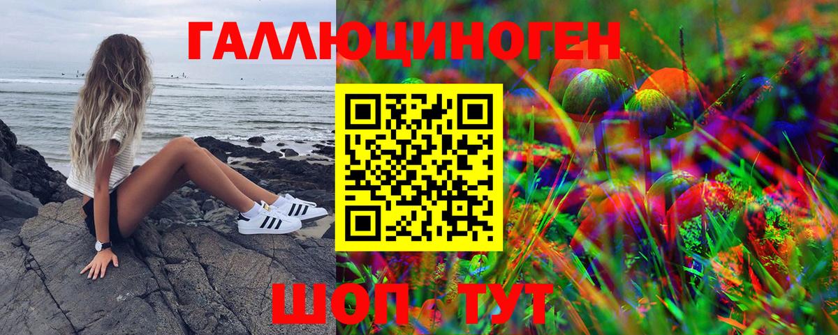 что такое   Вход с VPN  Архангельск  Галлюциногенные грибы Cubensis 